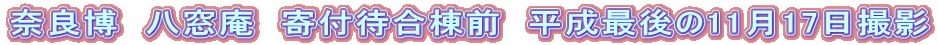 ޗǔ@@tҍO@Ō1117Be